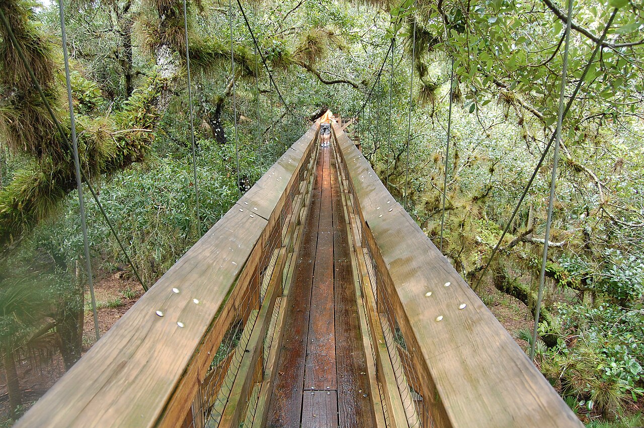 The wooden canopy walkway through the treetops at Myakka River State Park
