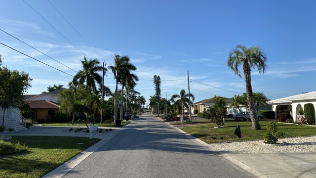 Palm-lined residential street at San Remo Shores, Bradenton, Florida