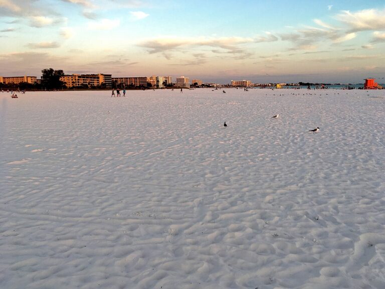 White sand at Siesta Beach on Siesta Key at sunset with seagulls and beachfront buildings in the distance